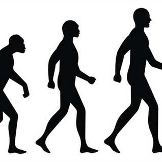 When Sapiens Go Shopping: Customer Cognition at the Speed of Thought