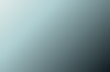 Asset 3.png