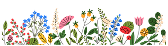 Diseño sin título (1).png