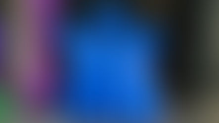 Blue Blog