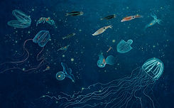 Oceans Heart_28_29.jpg