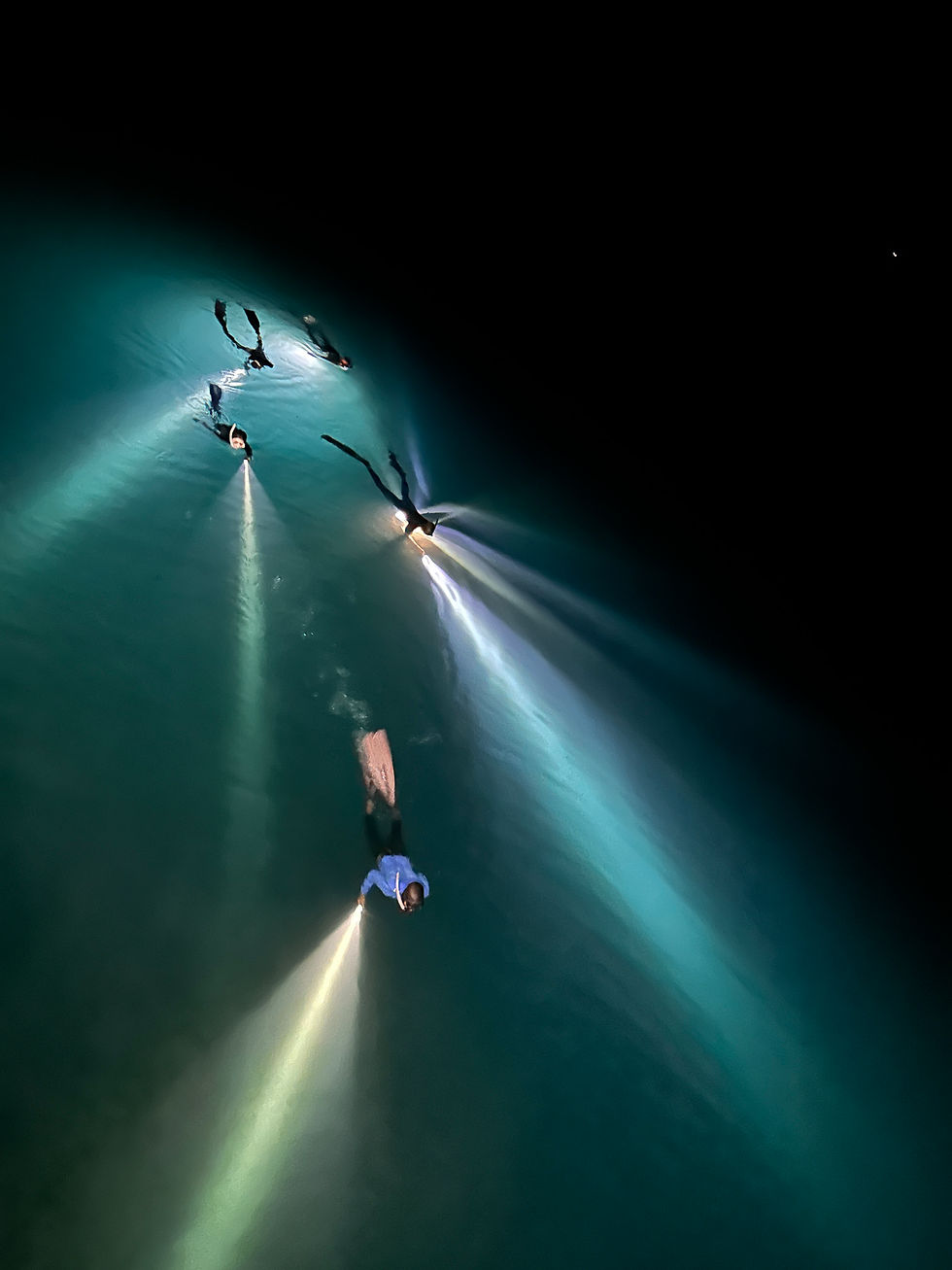 This photo of my buddies on a night dive, illuminated by their torch lights, became the inspiration for the light and color choices of the zooplankton in below art piece.