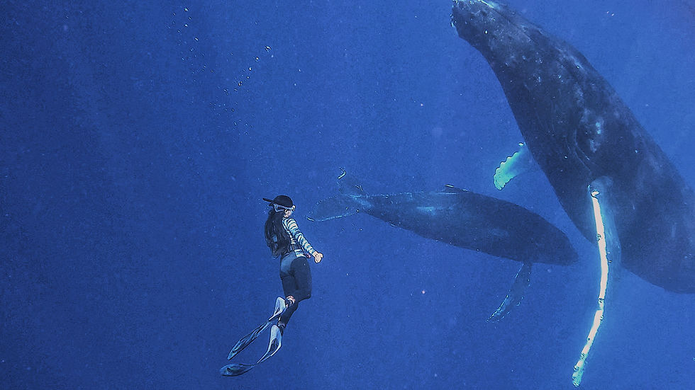 A deeply special moment when I found myself sharing a quiet, space-hug with a mother and her calf.