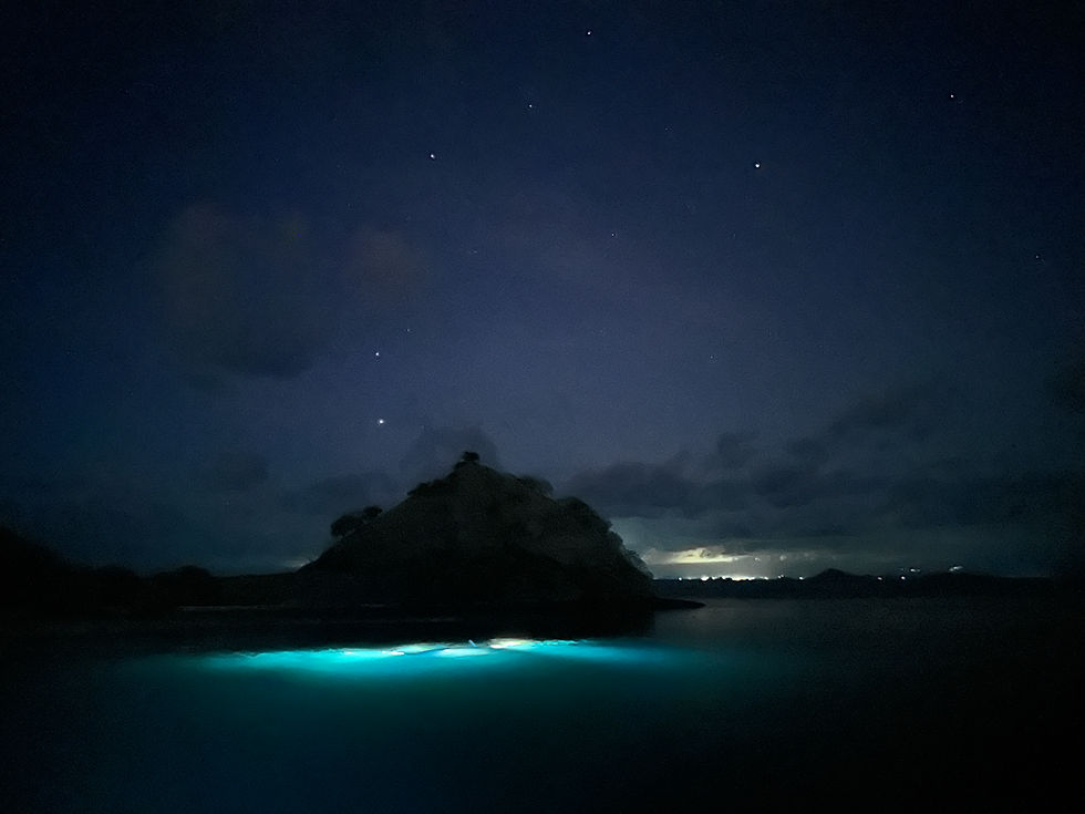 One magical glimpse of the ocean in the darkness.