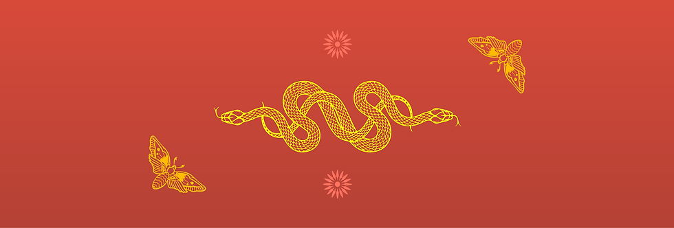 compadres-banner-01.png