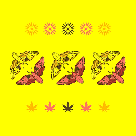 compadres-final-branding_additiional.png