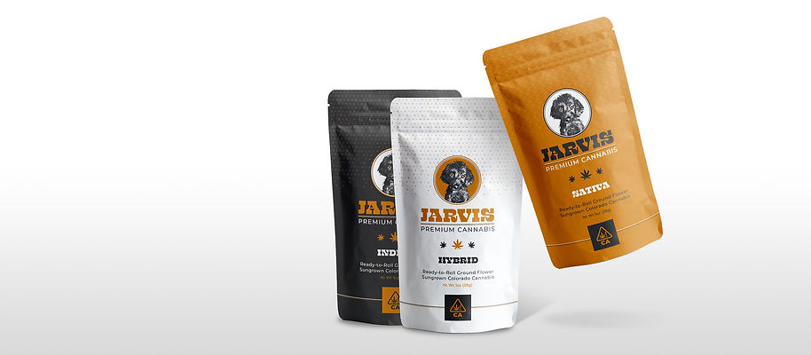 Header-Jarvis.jpg