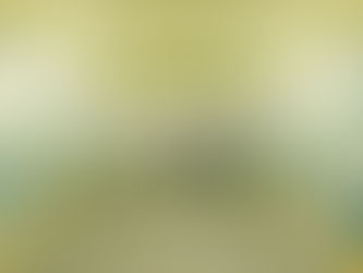 生活與生存
