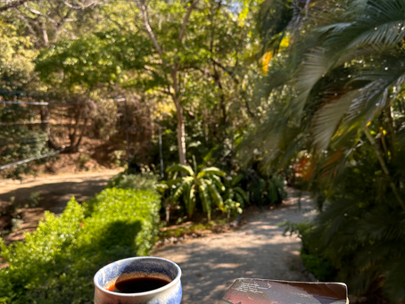 Bibliophilia: March