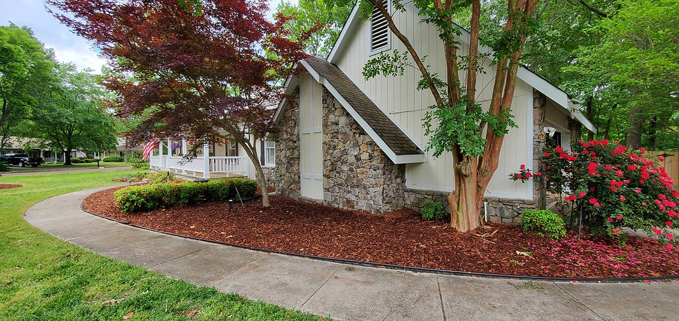 How Can Landscaping Help My Curb Appeal Immediately?
