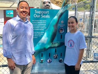 Educating Kids at Pacific Marine Mammal Center in Laguna Beach