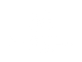 Naskila-Logo-2022-primary-white-1c-01.png