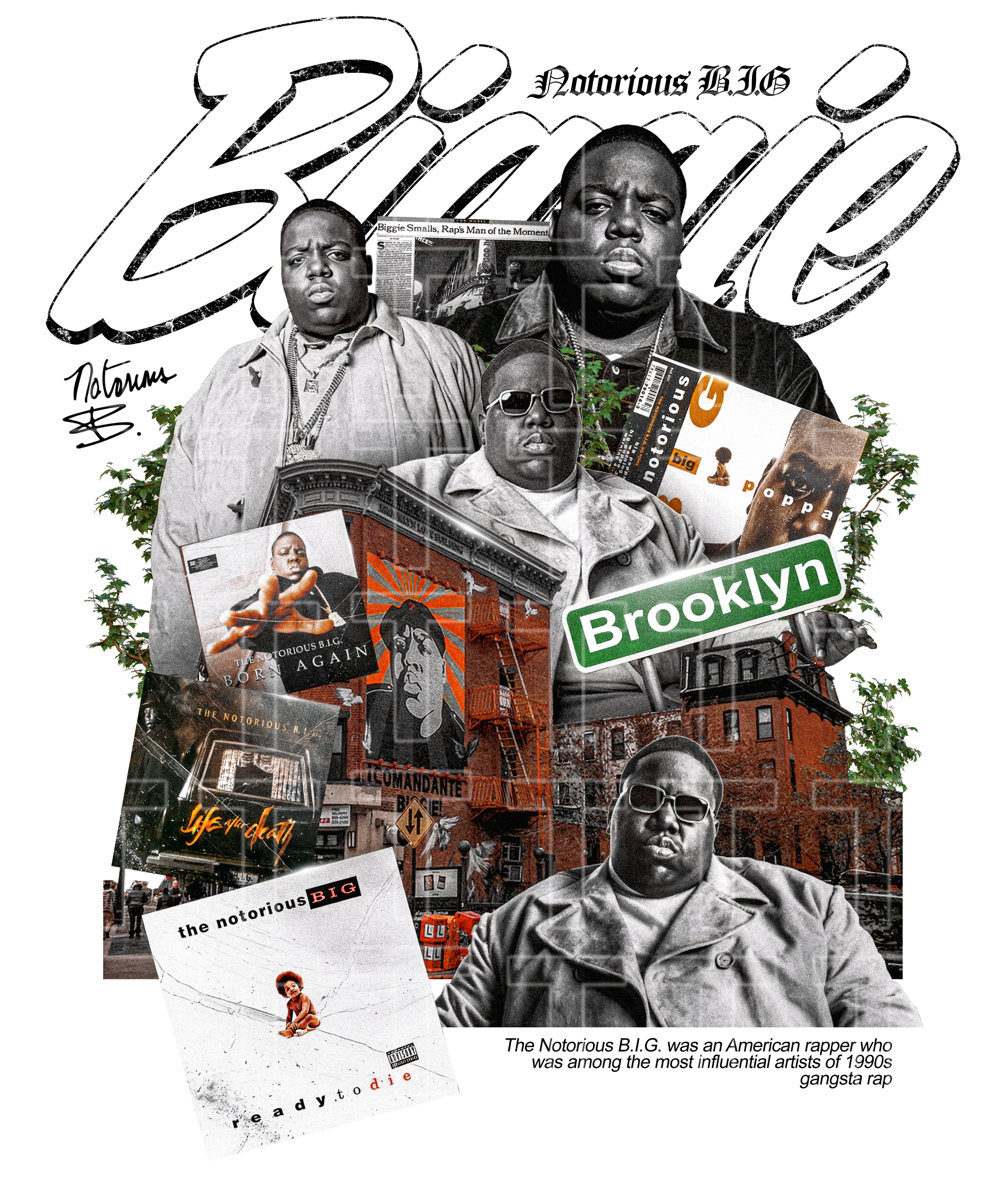 BIGGIE SMALLS (Transfers)