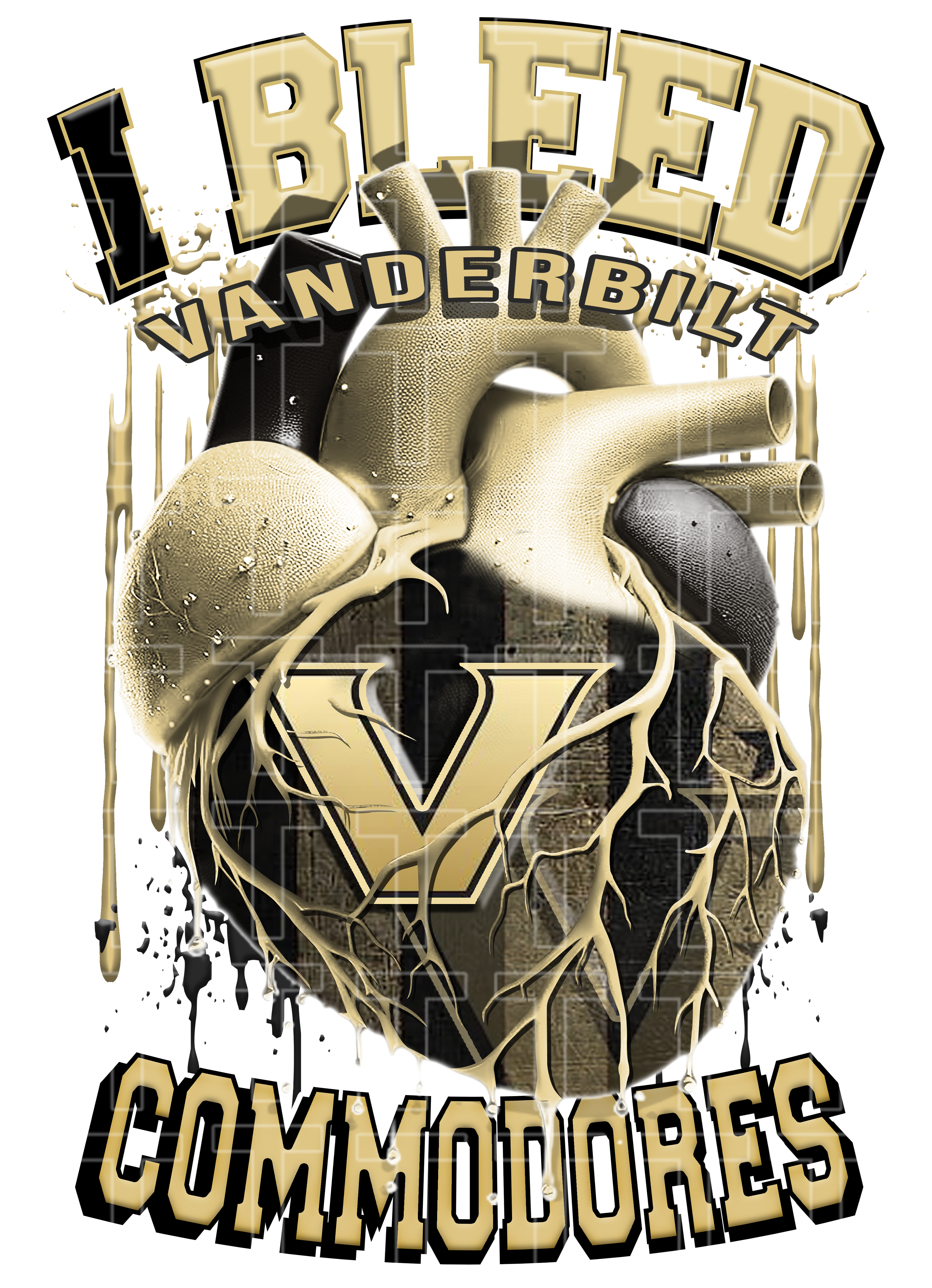 VANDERBILT (Transfer)