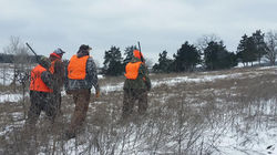 52489231_2025158147539606_89819218431956