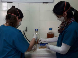 elaboración de medios