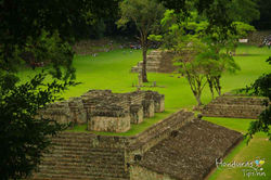Copan.