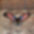 Thumbnail: Metal, Patriotic American Eagle Wall Decor, F-19
