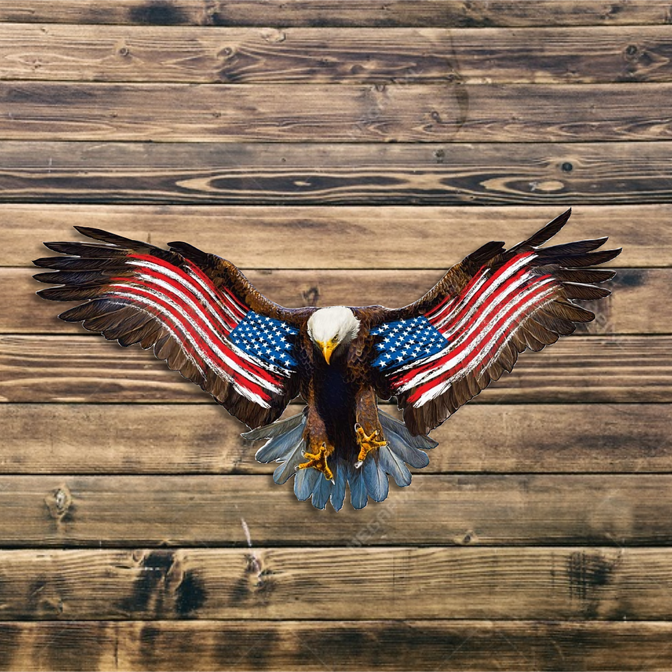 Thumbnail: Metal, Patriotic American Eagle Wall Decor, F-19