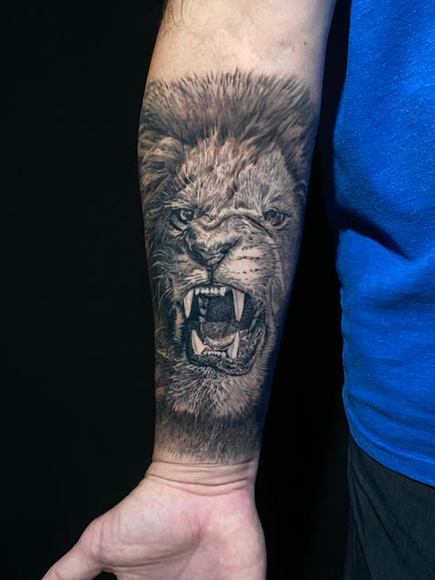 Lion Roar