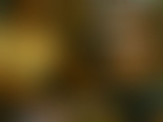 En la Bodeguita del Medio: mojitos para entender una ciudad líquida