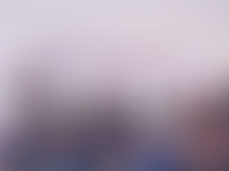 Foro Regional del T-MEC en el Estado de México impulsa diálogo y propuestas sobre integración económica