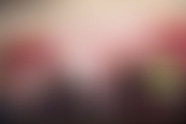 Acompañamiento canino transforma la atención odontológica infantil en el Estado de México