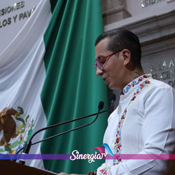 En Edoméx, bebés recibirán un árbol al nacer; buscan que crezcan juntos