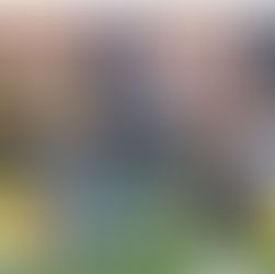 🏈 NFL 2025: Resultados y Sorpresas de la Semana 2