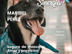 Seguro de mascota: Amor y previsión