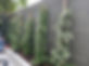 7e02df48-80f9-461c-a9e7-7a0ca8d7b3be.JPG
