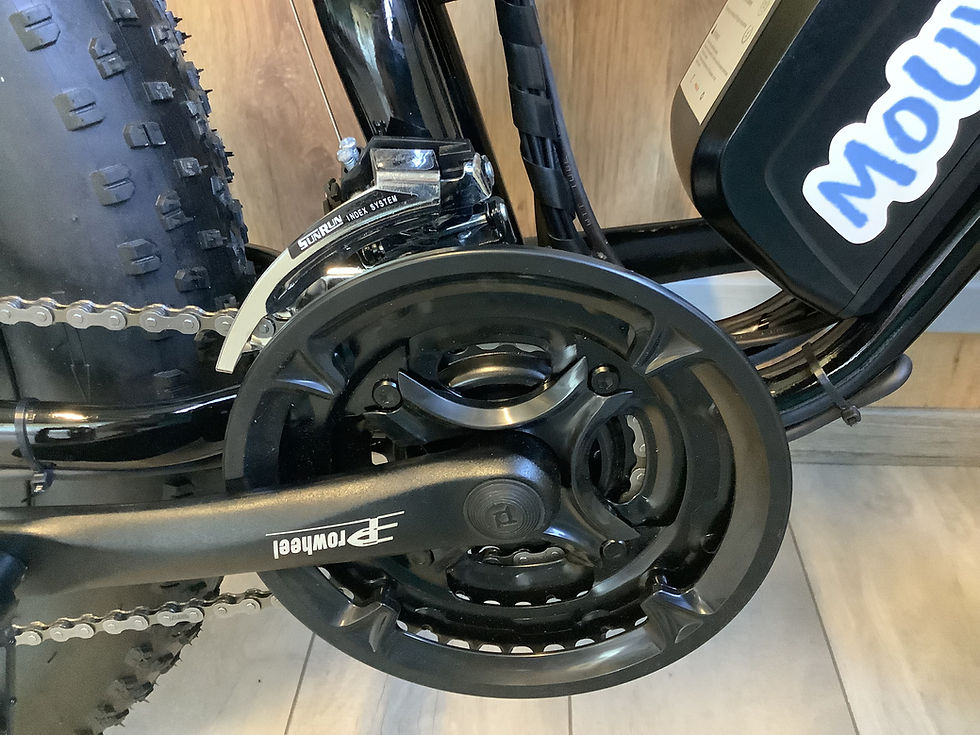 Miniature : Fat bike électrique