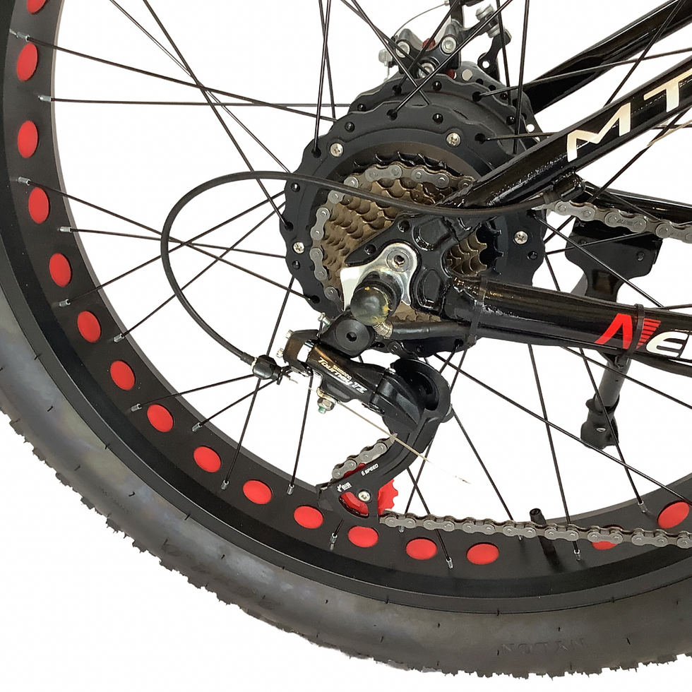 Miniature : Fat bike électrique