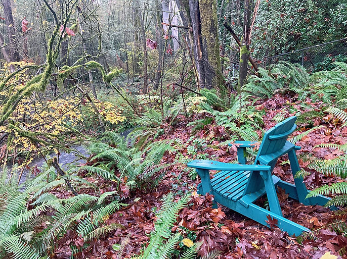 Backyard Fall Stream & Chair_edited.jpg