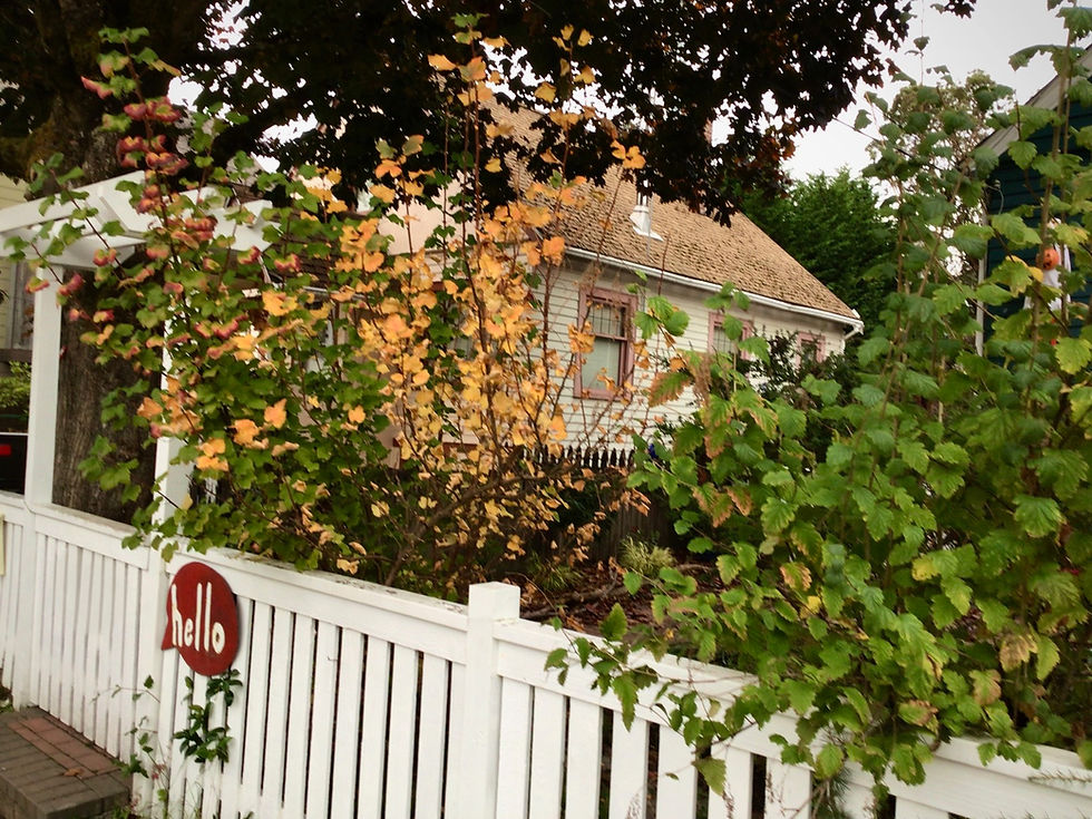 The Best Time to Design and Plant a Garden in Seattle and Camano Island