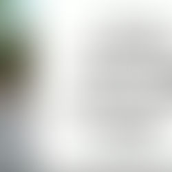 A insight into the vision that is Costa Rica wellness, excursion and connection retreat . 2026