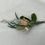 Thumbnail: Rose Buttonhole/Boutonnie