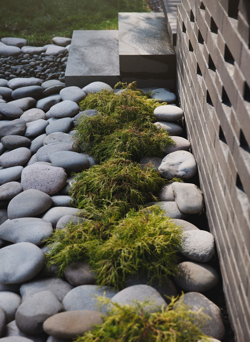 Exterior and interior views of mid-century modern home addition, interior design decor and outdoor landscaping.