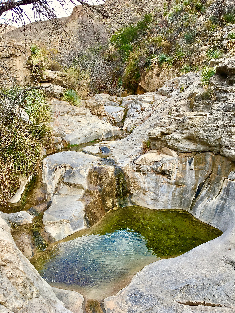 Dog Canyon