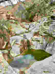 Dog Canyon