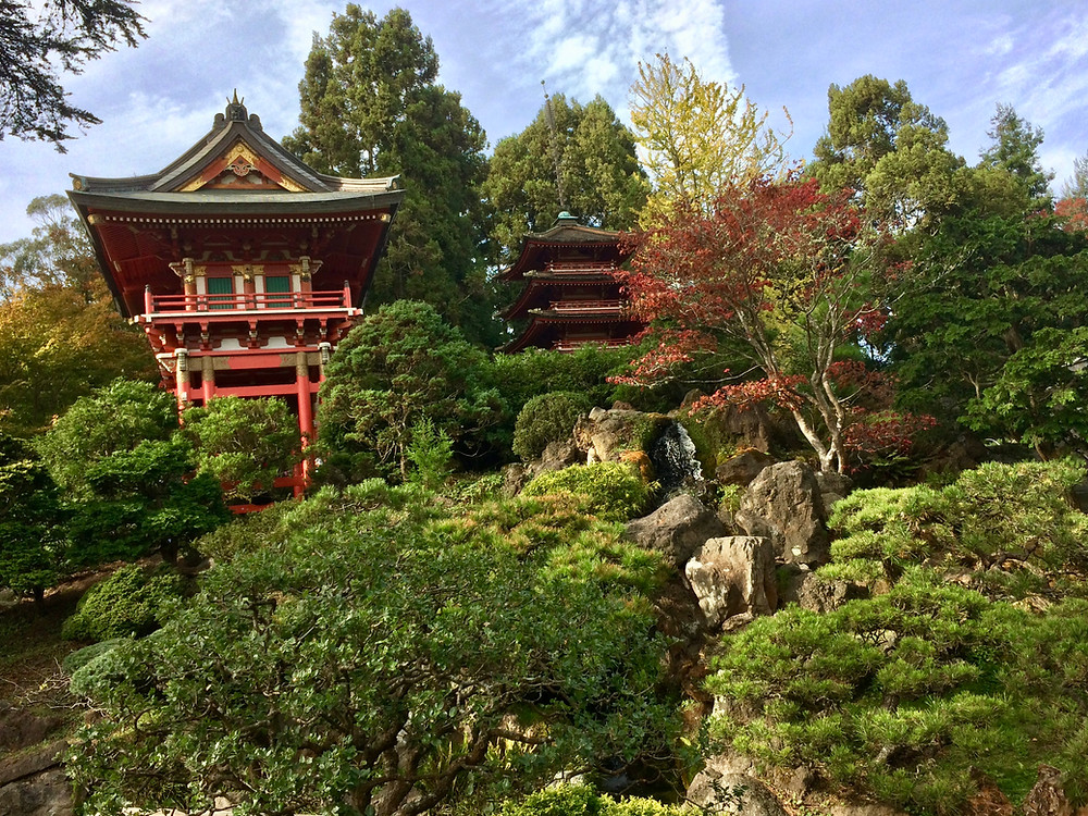 Japanese Tea Gardens