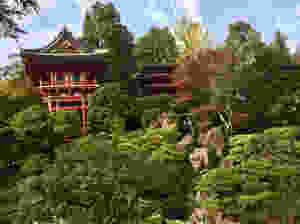 Japanese Tea Gardens