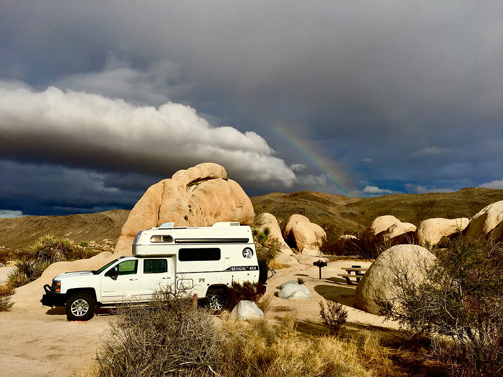 Joshua Tree NP