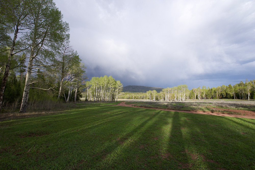 Ashley National Forest, Utah