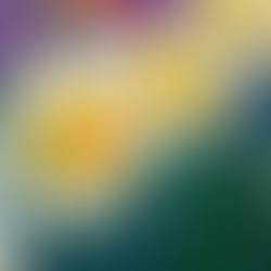 	Spring 2023 ICHC Quarterly Newsletter