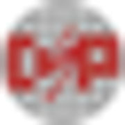 DSP4YOU (China) logo