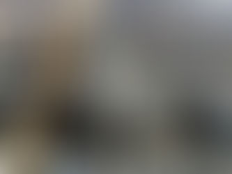 Barzan Gas Project - Transcar Case Study