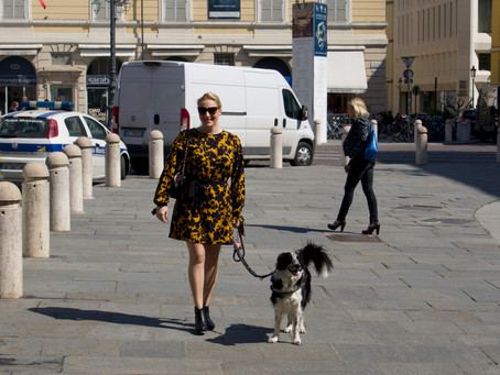 Un paseo por Parma I