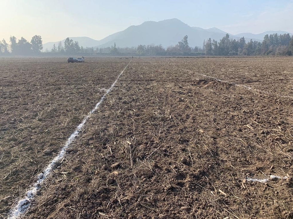 66430615_10157555812742834_389302179376136192_n