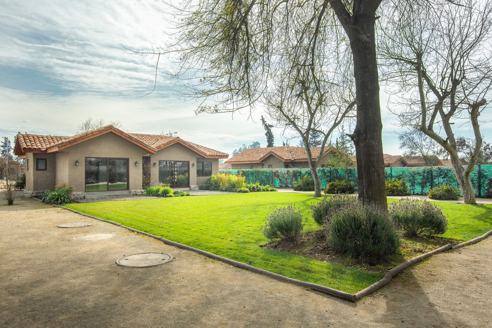 97025117_10158477205687834_6413842995770032128_n